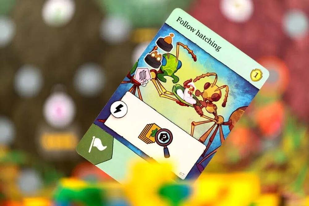 Ants (Муравьи)