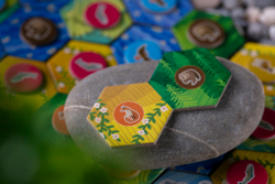 Маленькая Каскадия